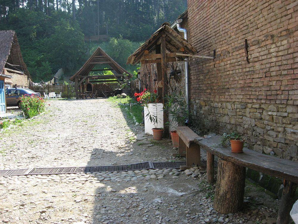 Pension Cartref Saschiz Exterior foto