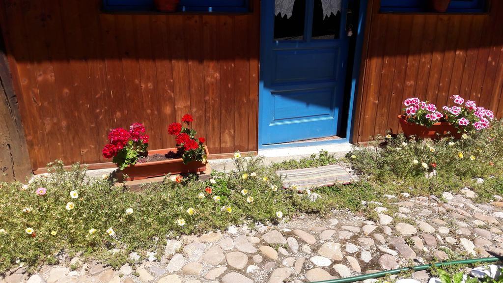 Pension Cartref Saschiz Exterior foto