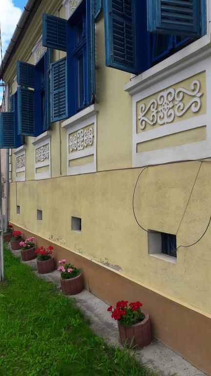 Pension Cartref Saschiz Exterior foto