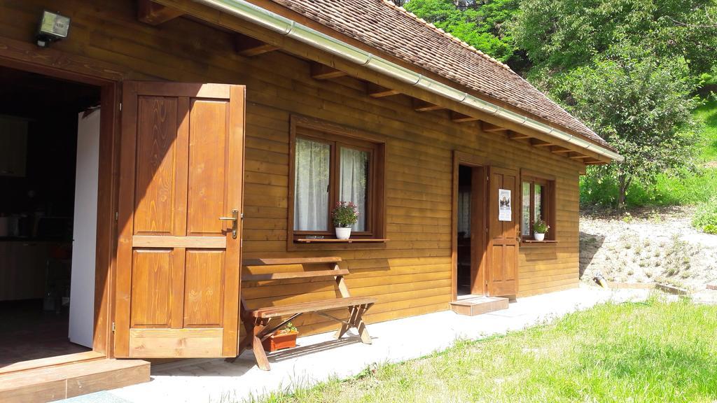 Pension Cartref Saschiz Exterior foto